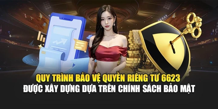 Nội dung chính sách bảo mật 6623a 
